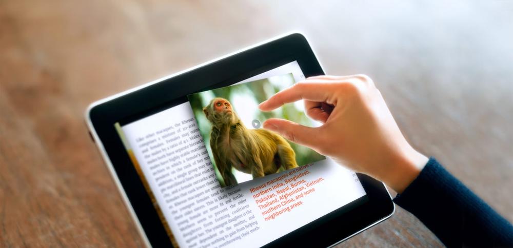 Photograph of a user using an interactive ebook on an iPad, zooming in on an image of a monkey.