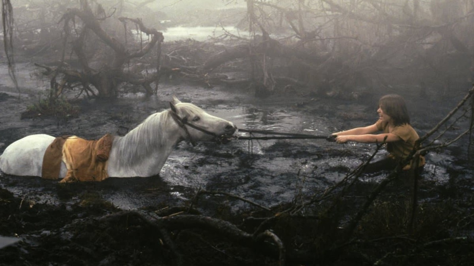 Atreyu tries to rescue his horse from the mud in a scene from the film *The Neverending Story*.